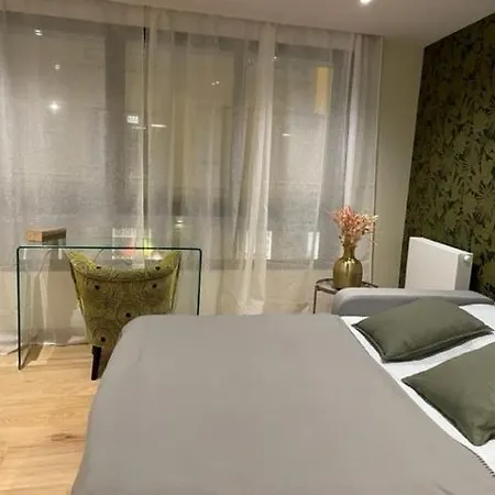 Superbe Studio En Centre-ville Appartement